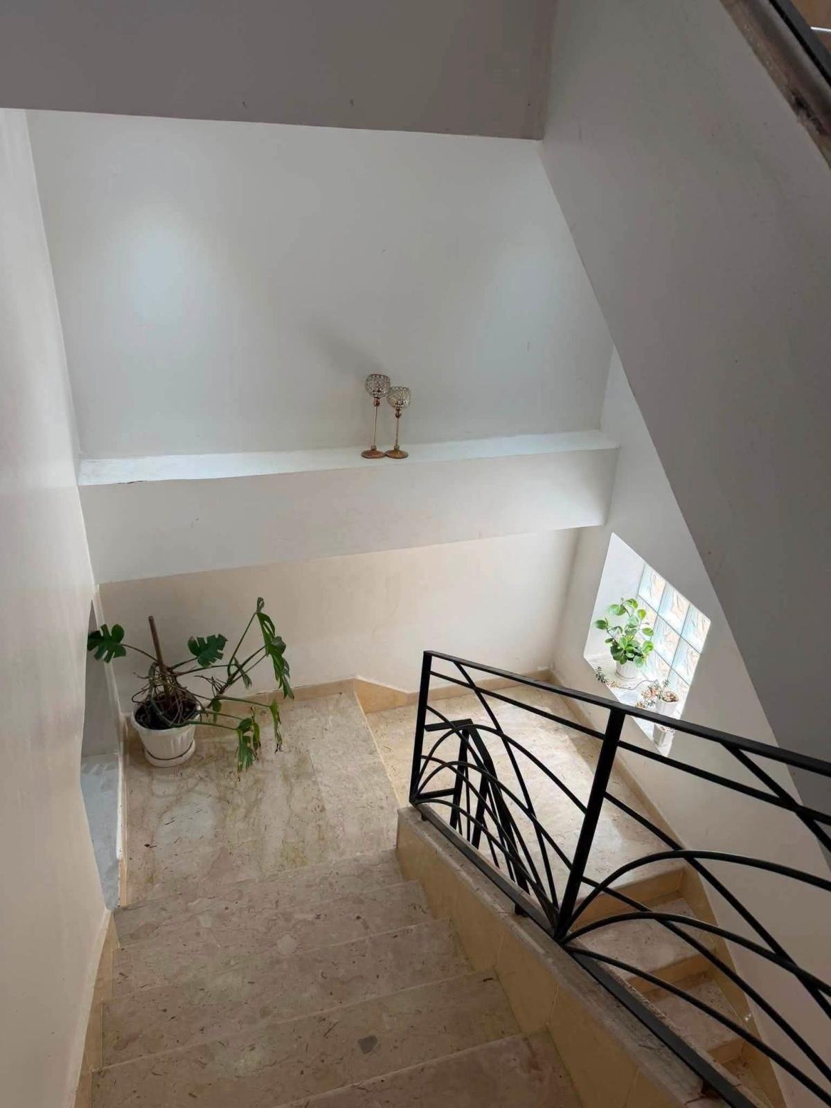 Property-showcase